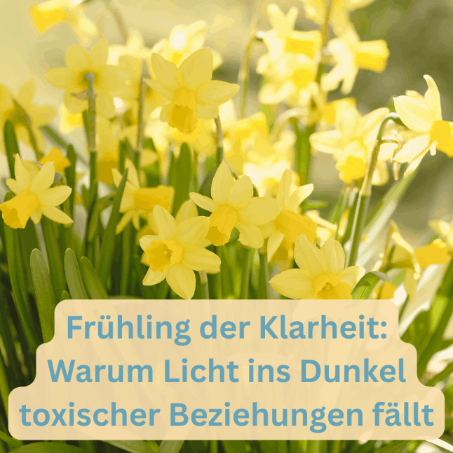 Toxische Beziehung - Licht ins Dunkel