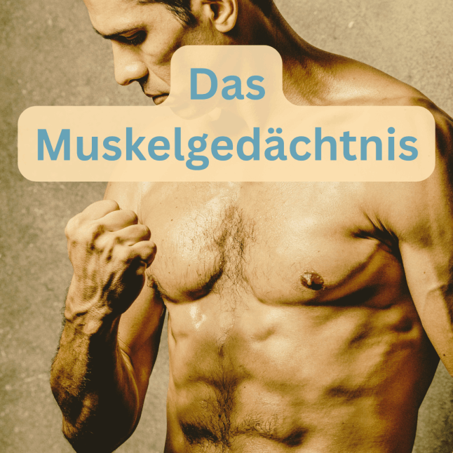 Muskelgedächtnis