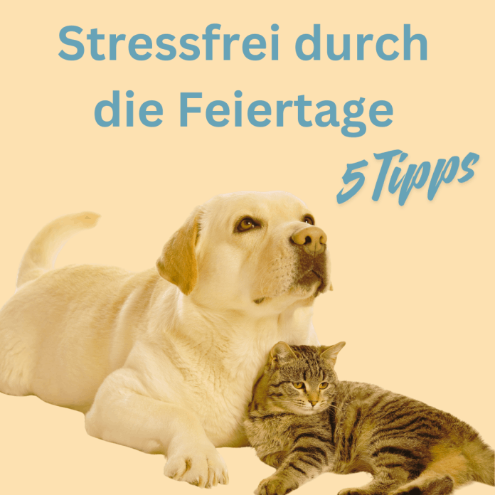 Stressfrei mit Hund und Katze durch die Feier