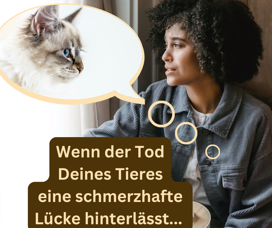Tod eines Tieres - Trauer