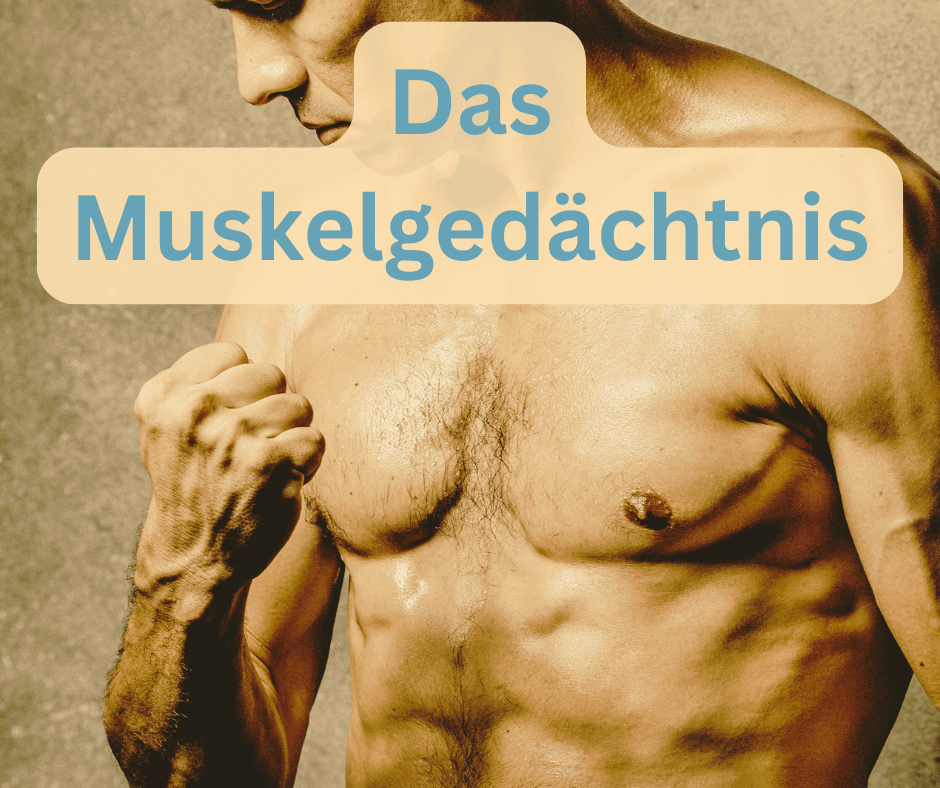 Muskelgedächtnis